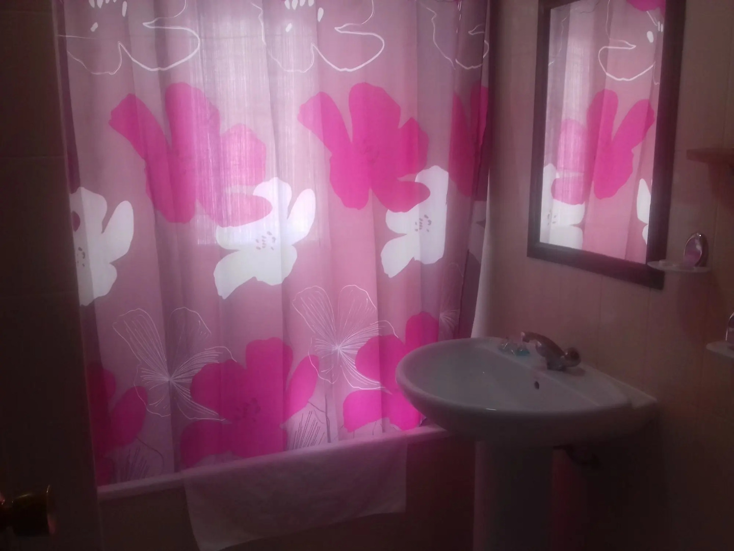 Hotel Costa Andaluza