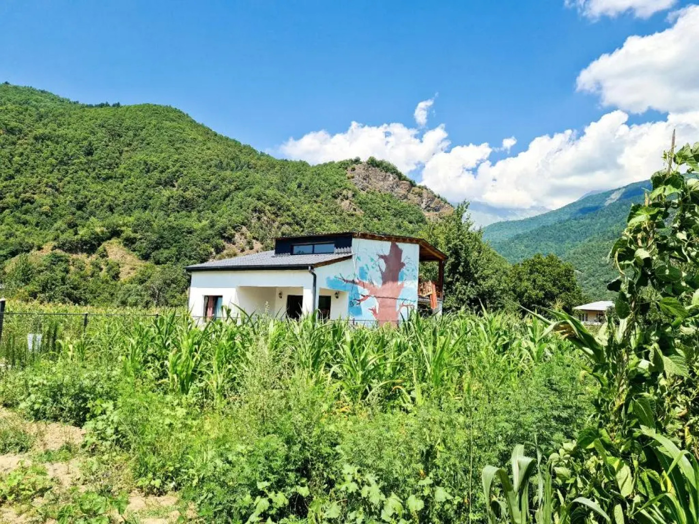 Racha Cornfield House (and mountain views!)