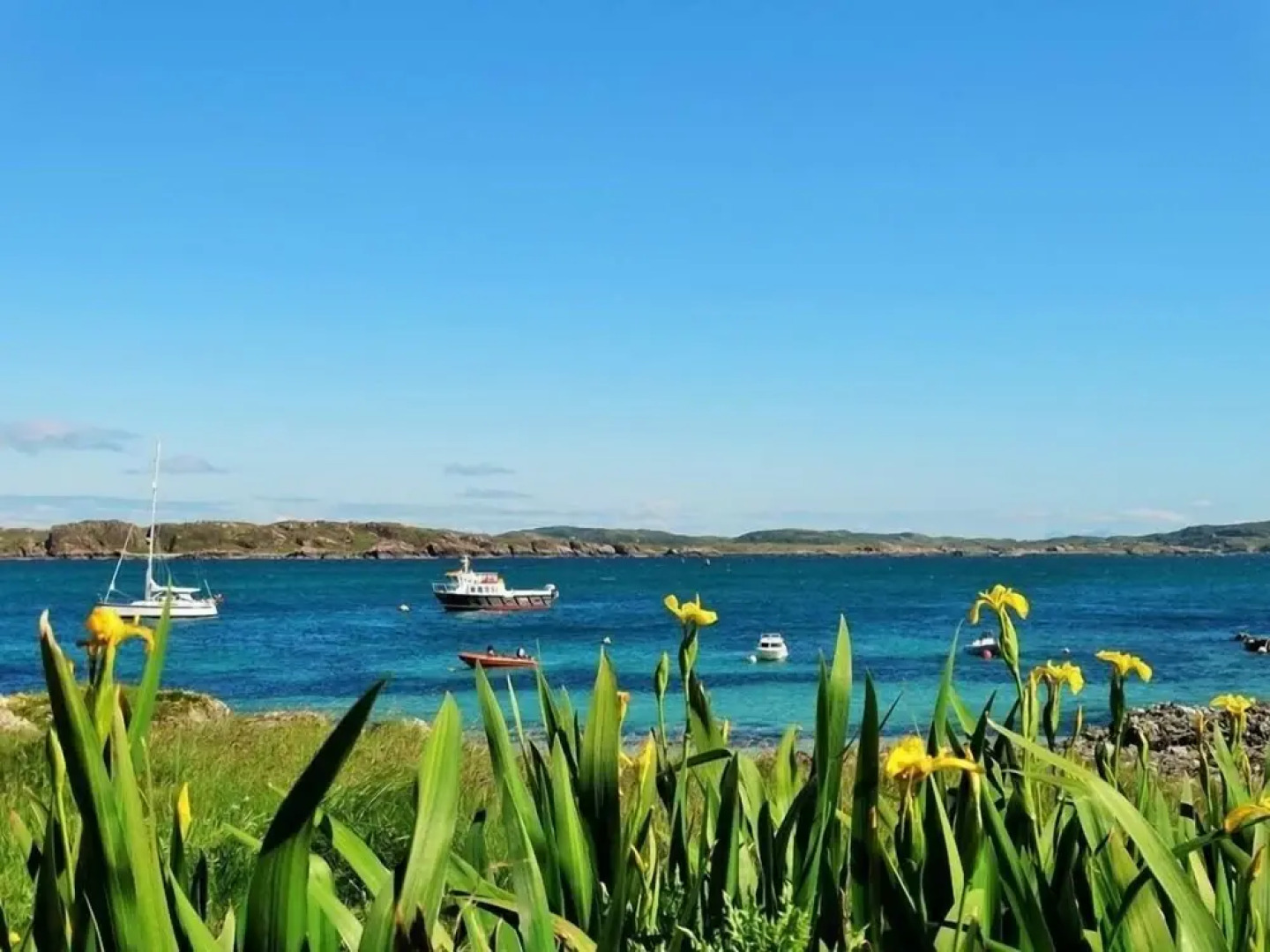 Cottage-isleofmull-stunningviews-wifi-parking