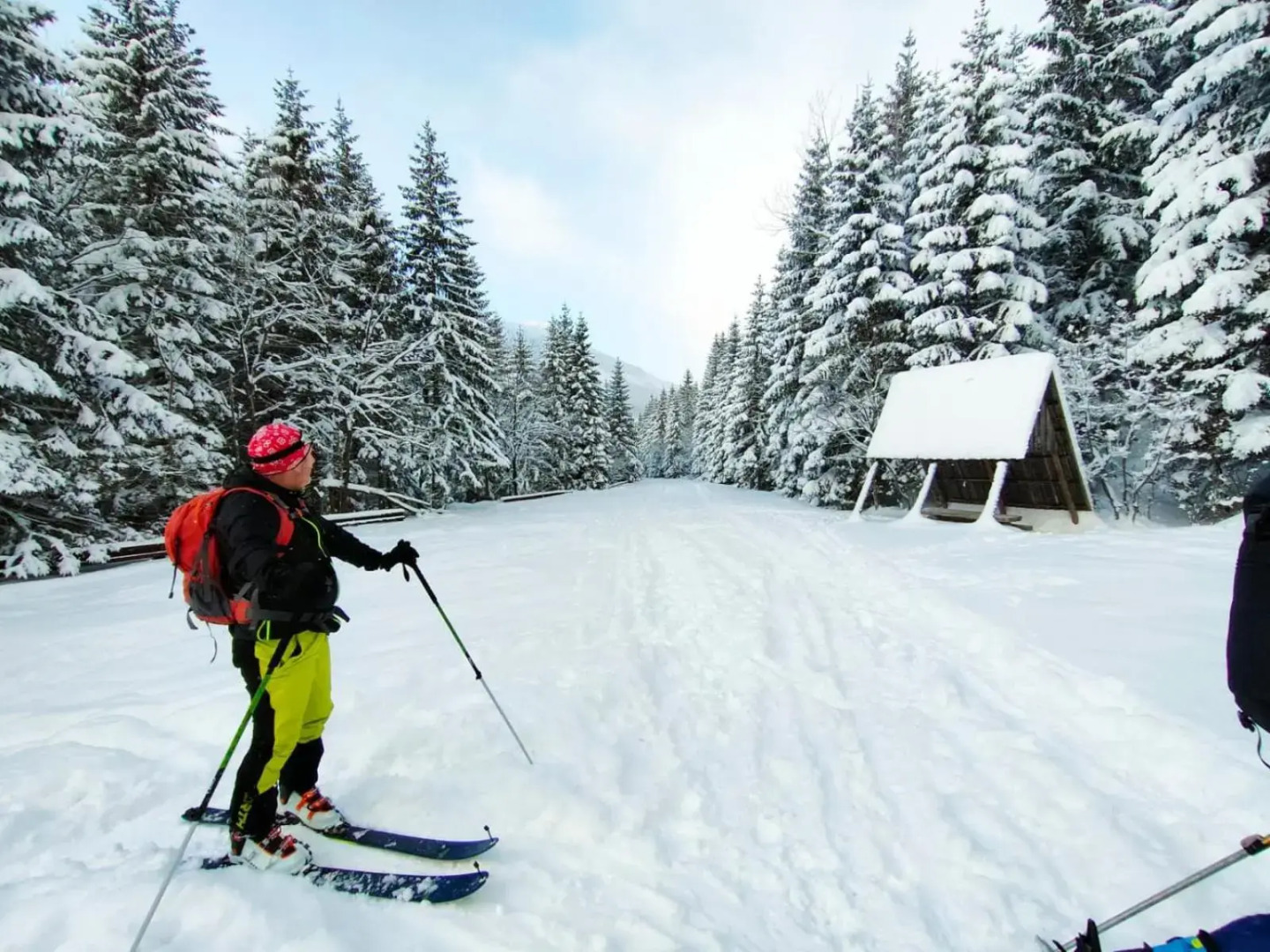 Ubytovanie v súkromí Grobarčík