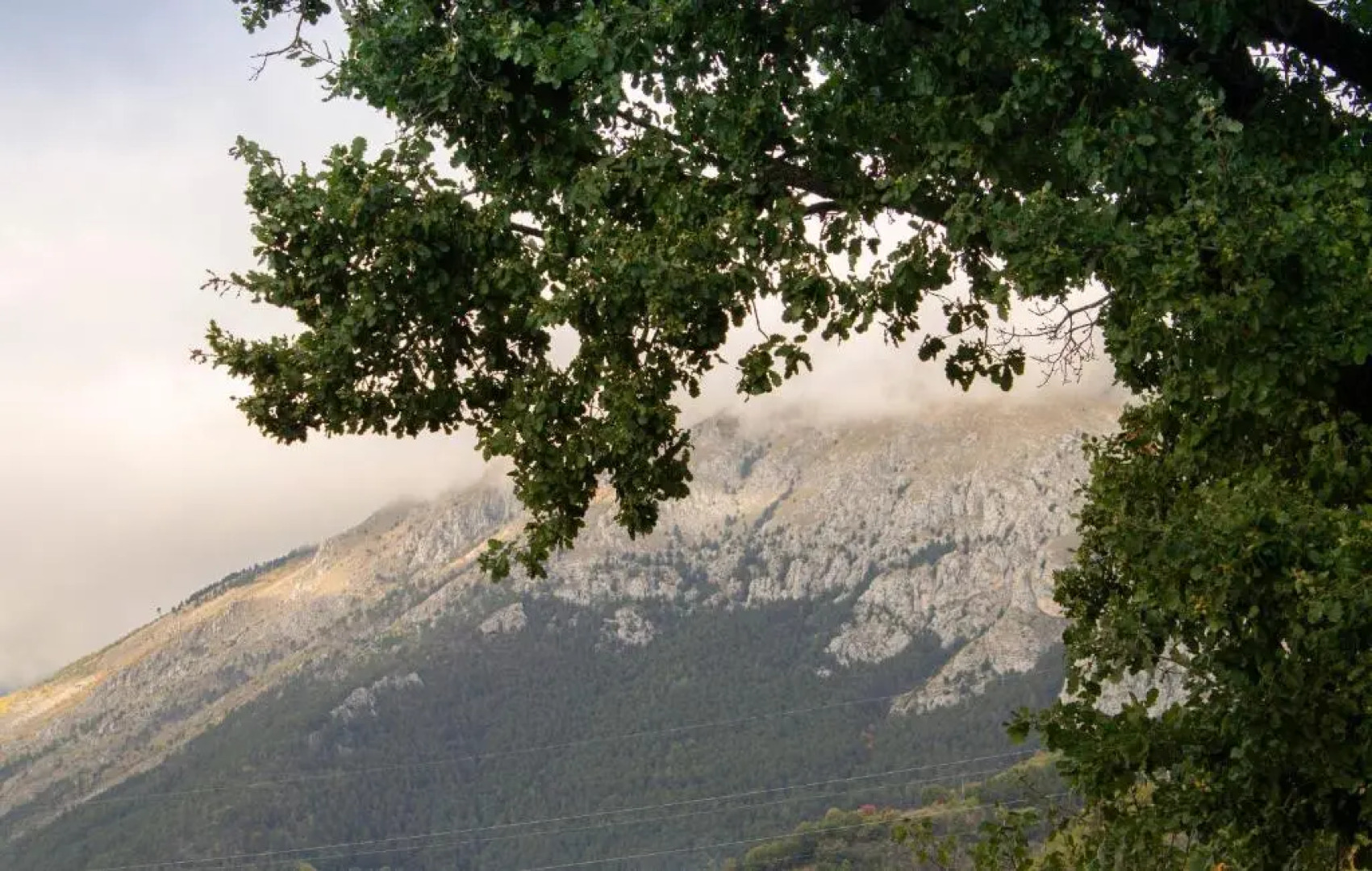 Arco Dei Sogni Bed & Breakfast