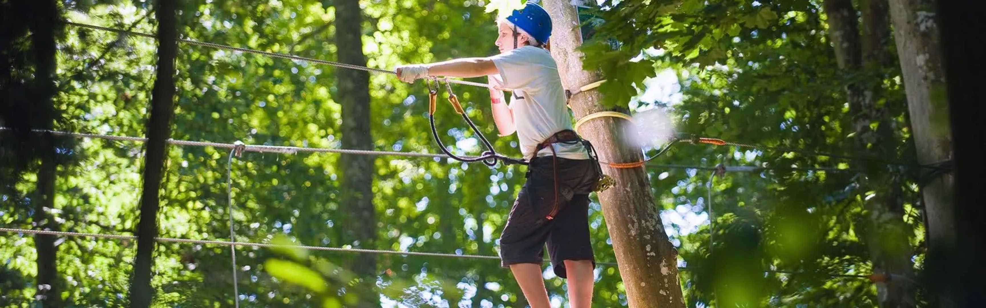 Domaine de la Roche Bellin