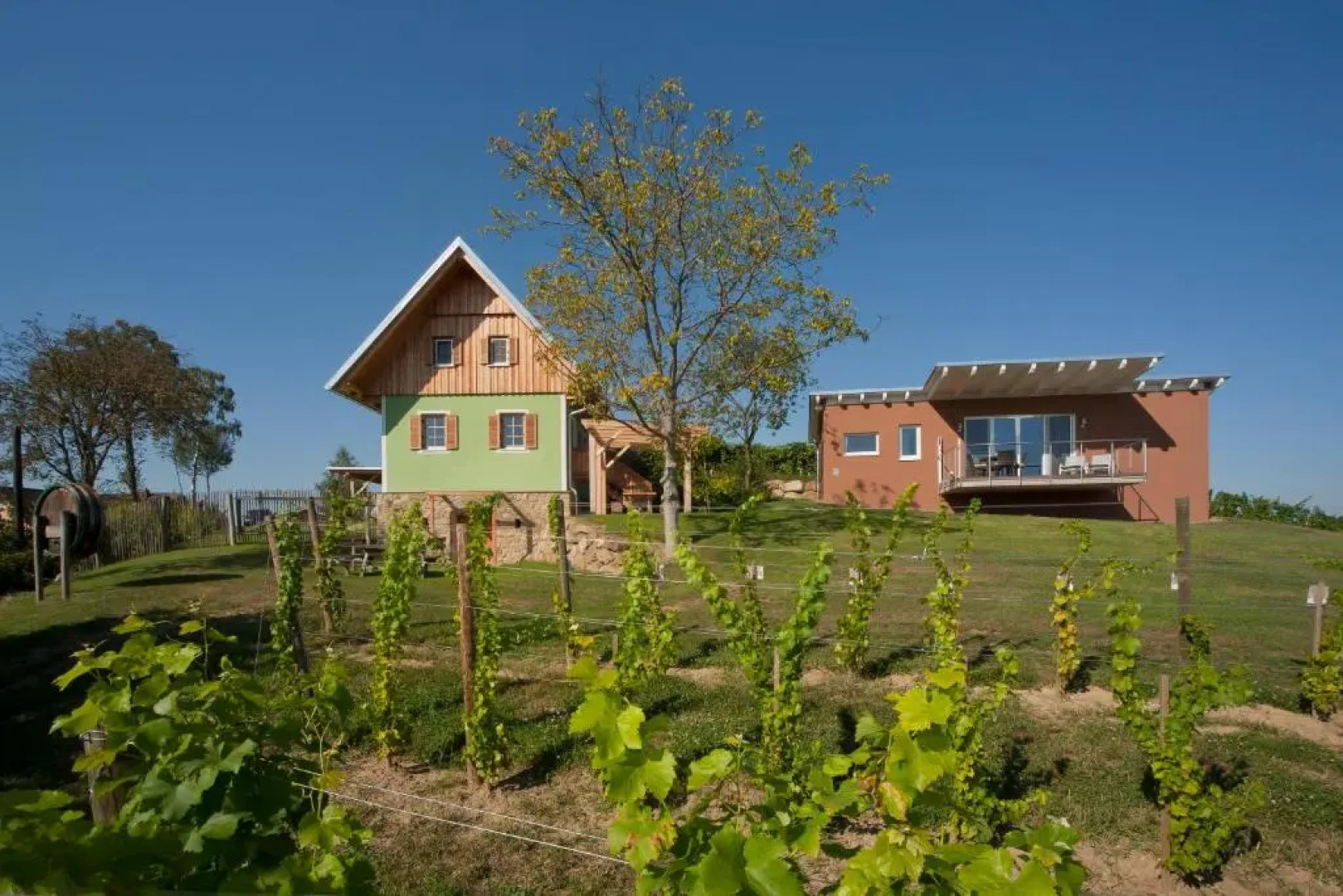 Ferienhäuser im Weingarten