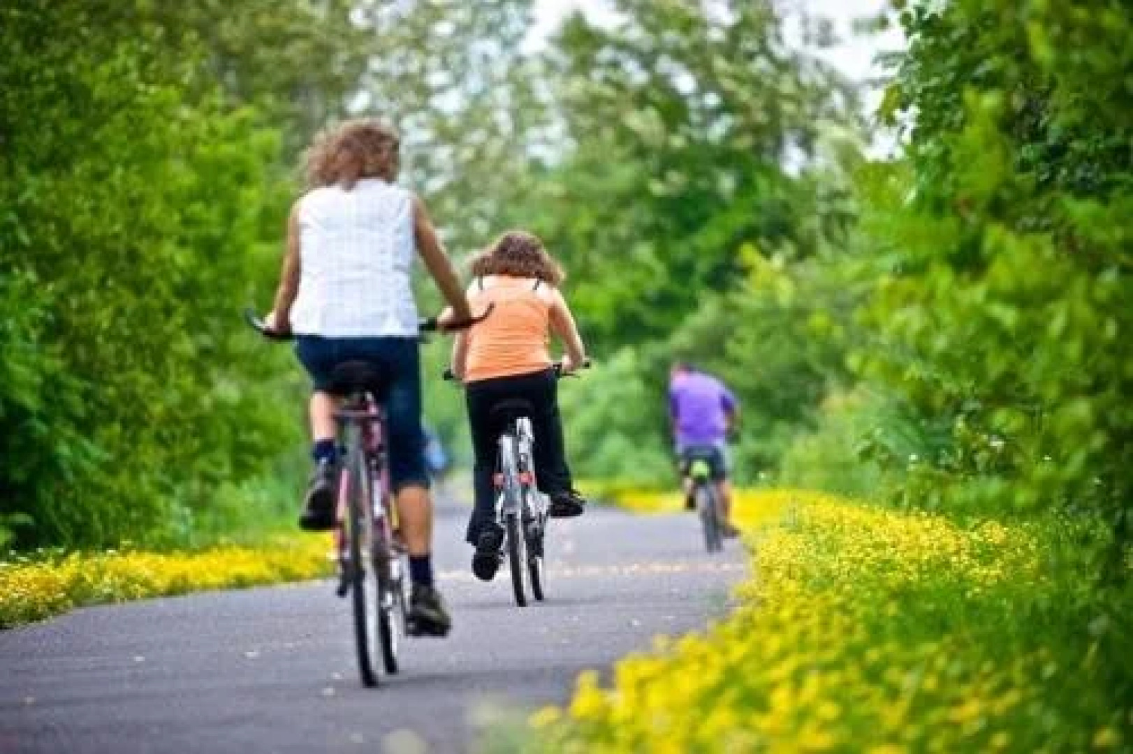 Auberge Aube et Couette