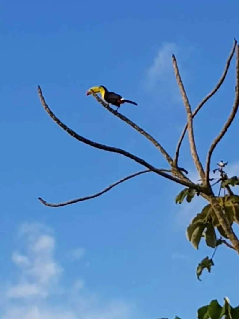 Mayan World Adventures