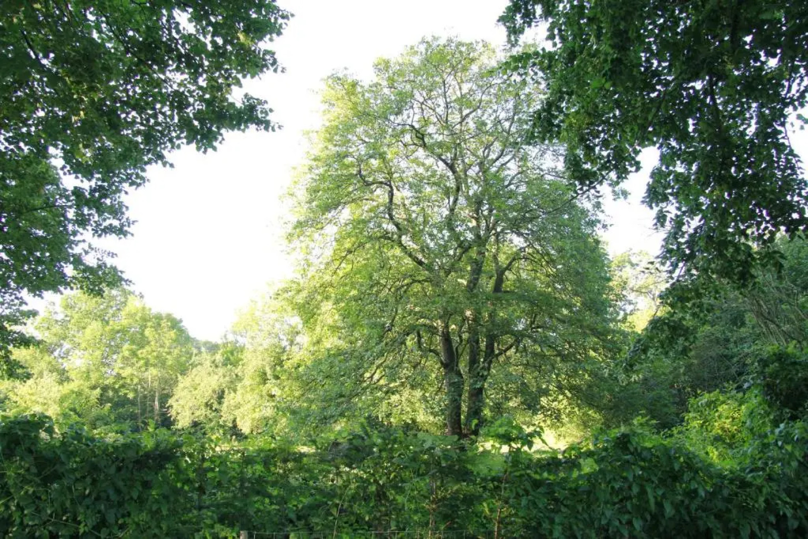 Vemmetofte Præstegård