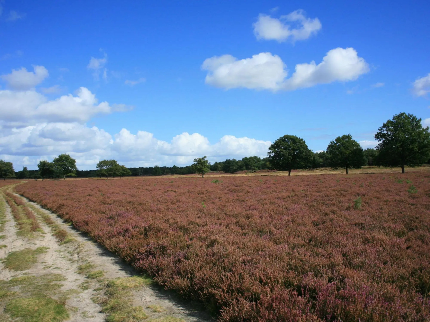 Comfortable, two Bathroom Holiday Home, in a Nature Reserve