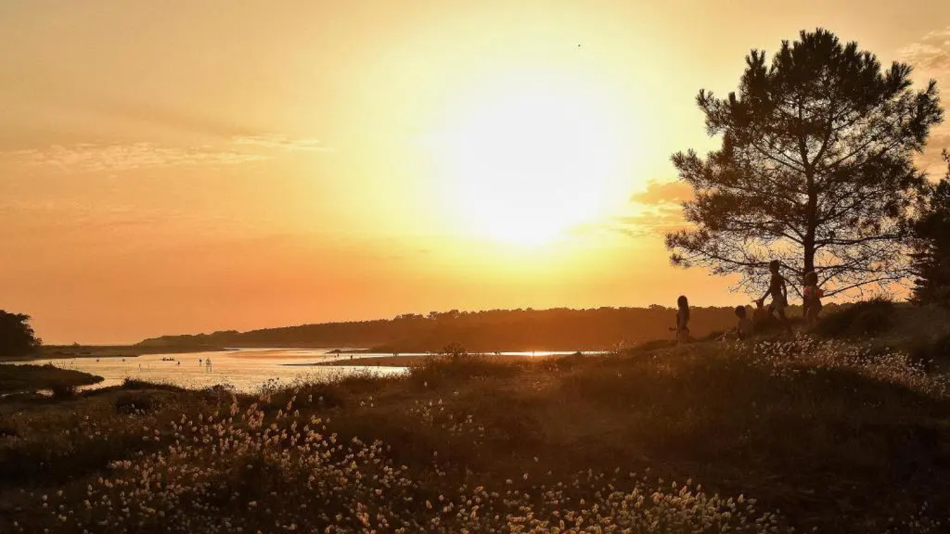 Les Flibustiers - St Vincent