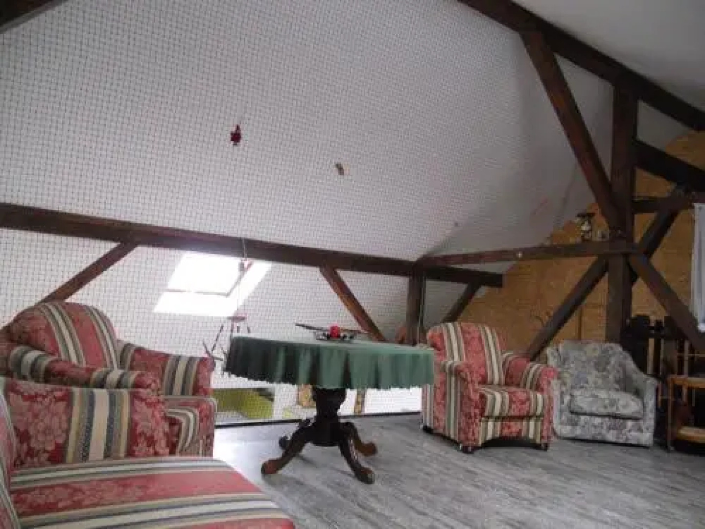 Cuibul Salamandrelor