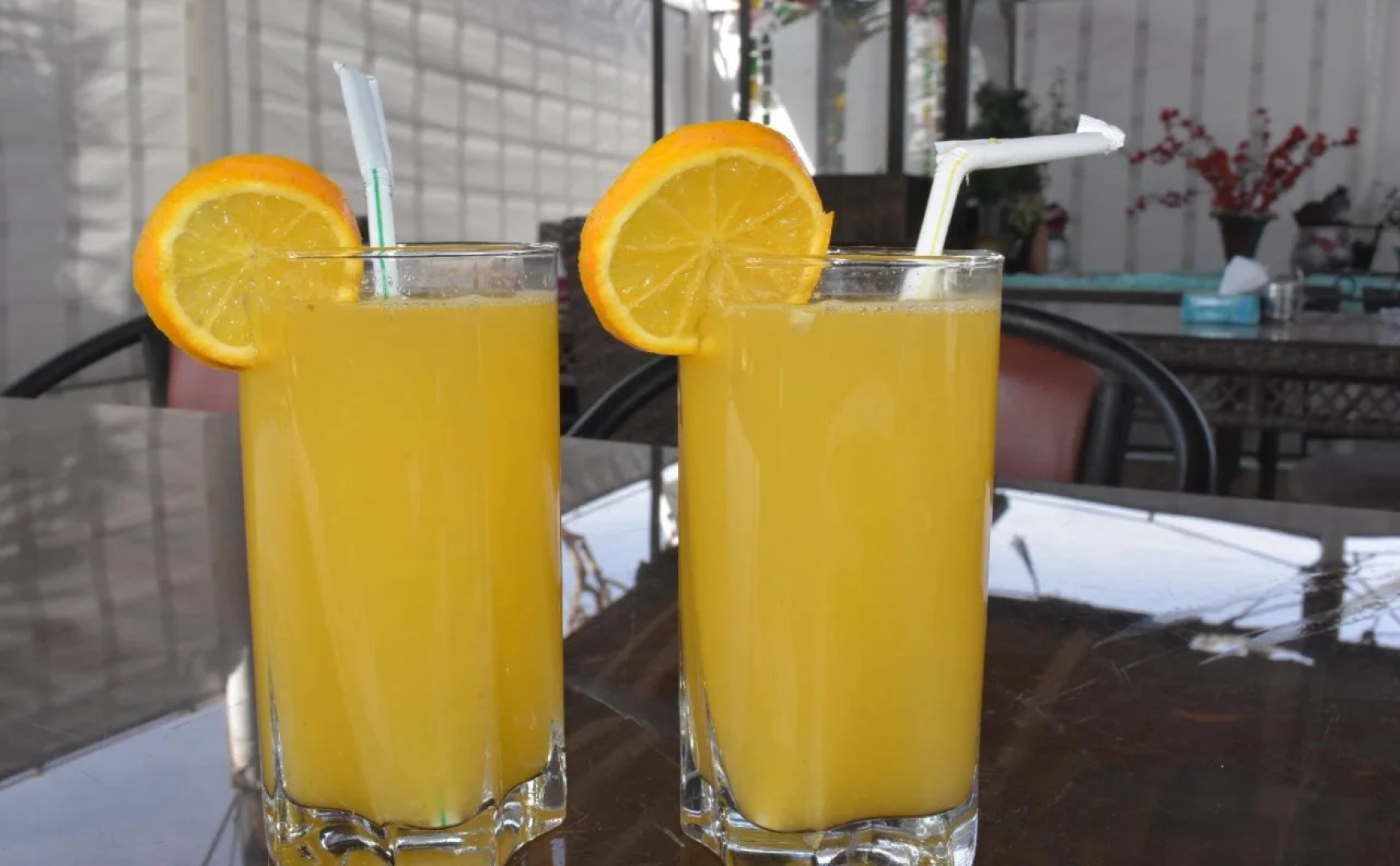 Bedouin Garden Village, Hotel Dive