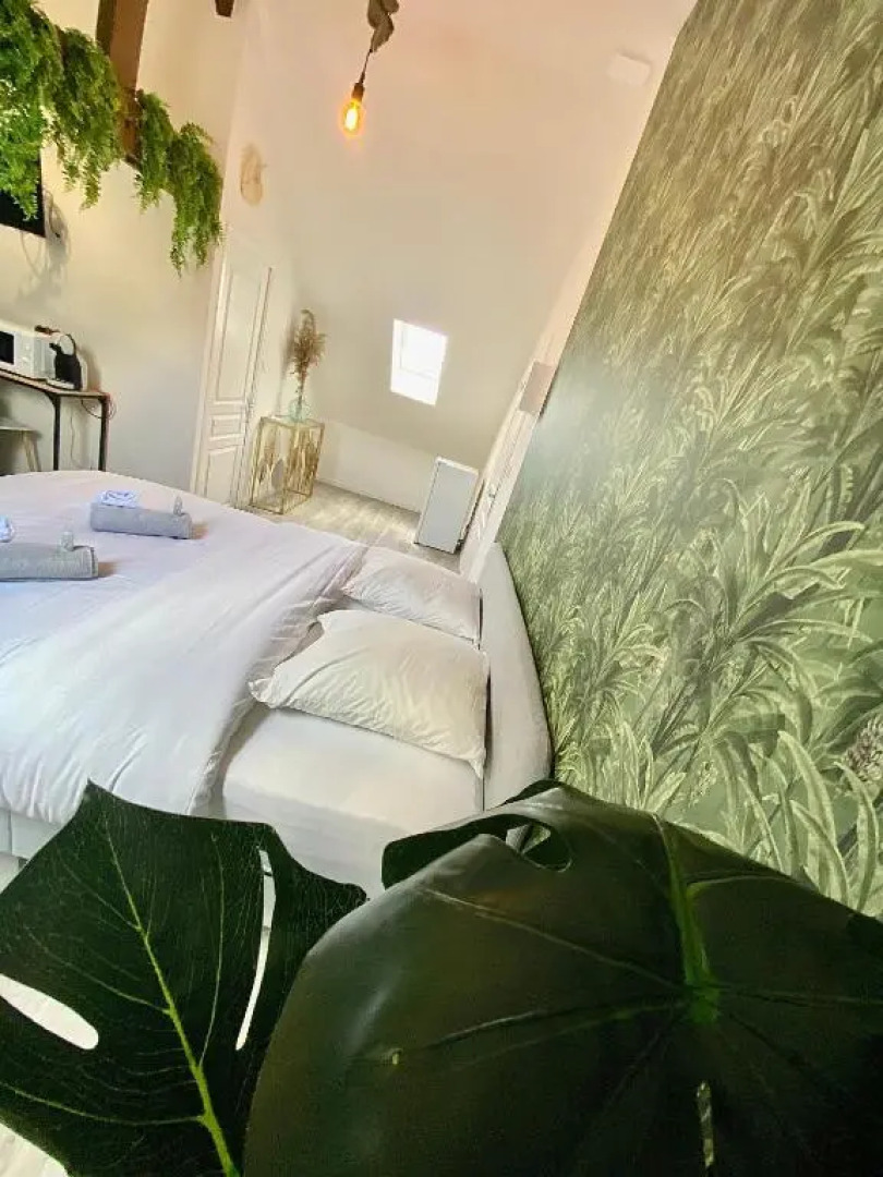 NG SuiteHome Lorient Lanester Netflix