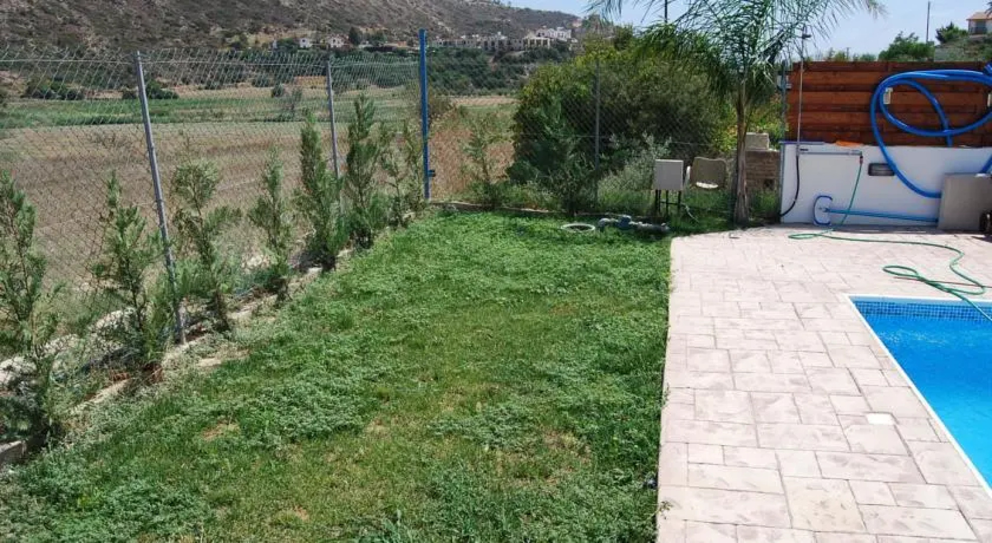 The Old Olive Tree House