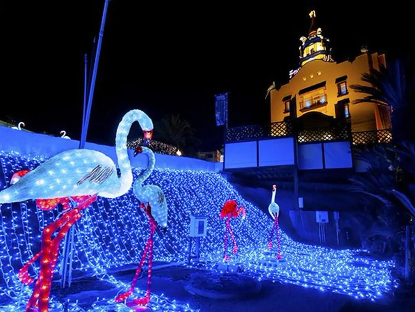 Hotel Chapel Coconuts -Adults Only