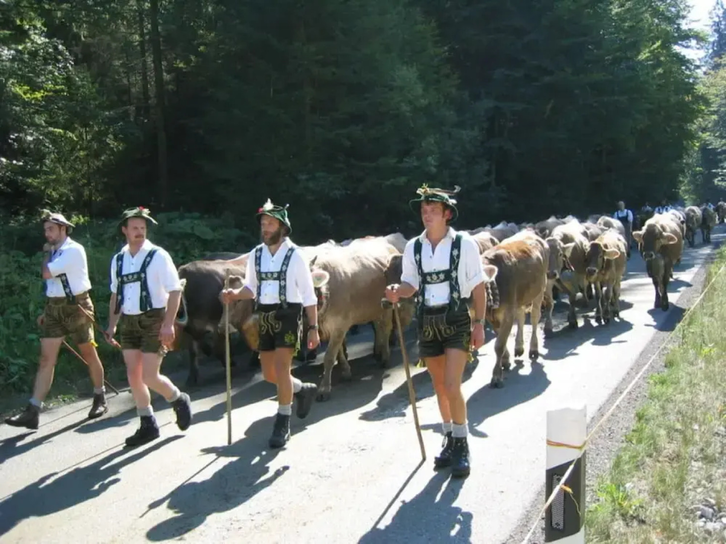 Alpenrosle Comfortable Holiday Residence