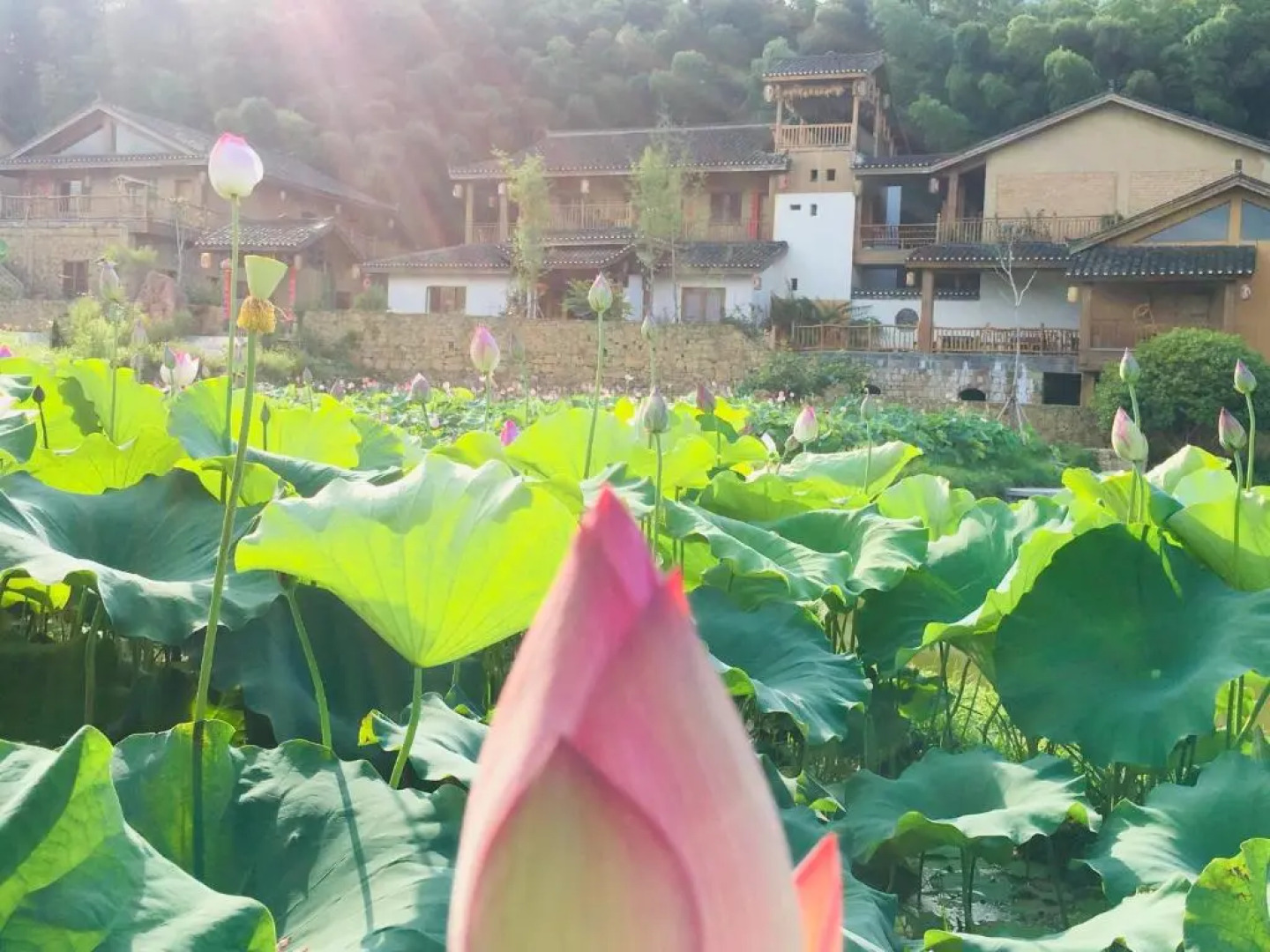 Dayong Antique Feature Resort