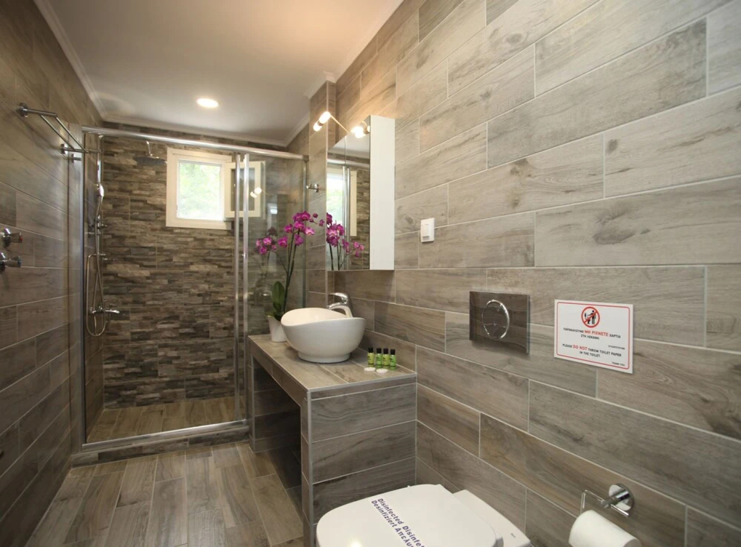 Apollo Apartments & Studios