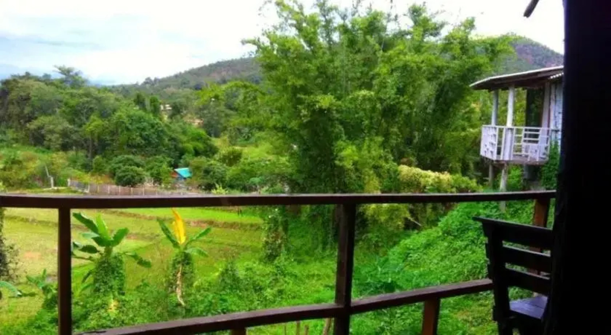 Chang Pai by John Bamboo Hut