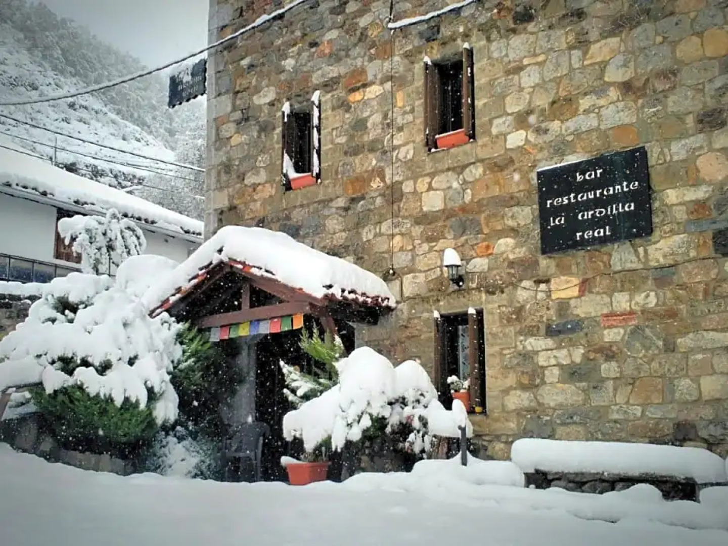 Refugio La Ardilla Real