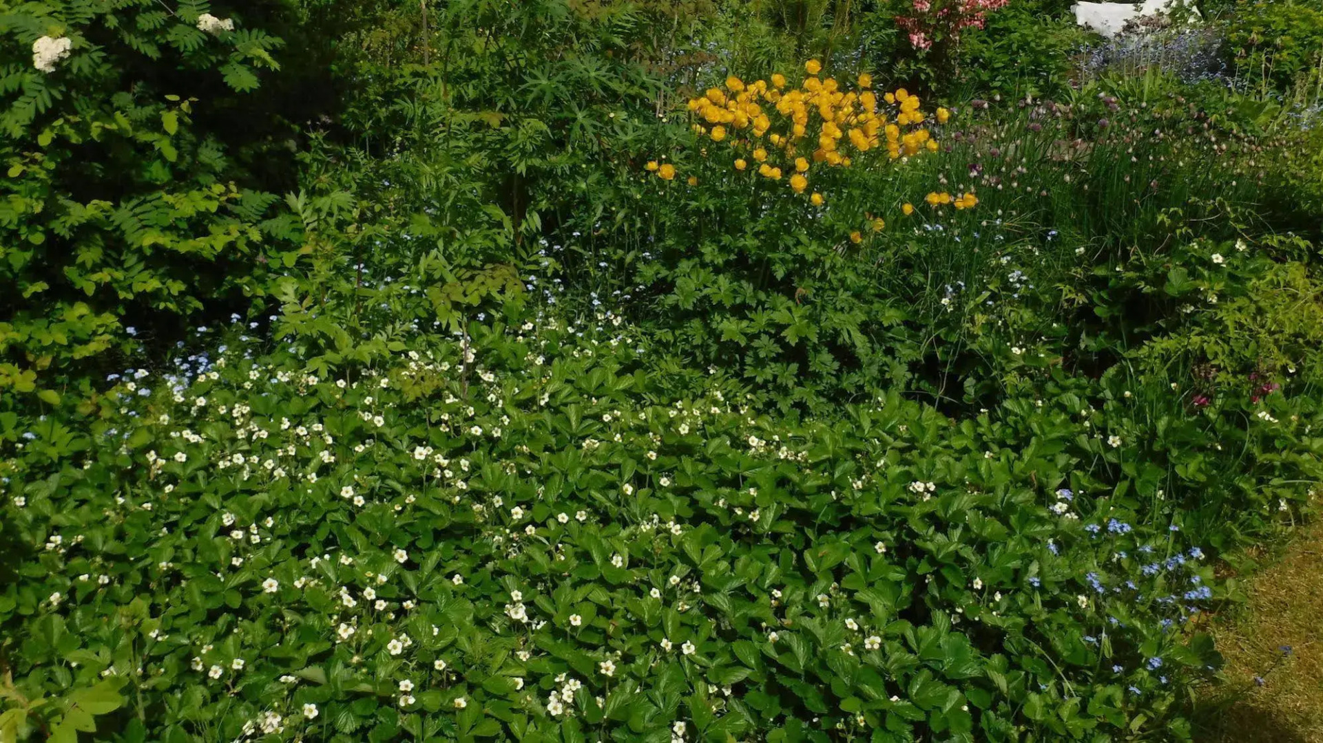 Brigitte's Bavarian Bed und Breakfast