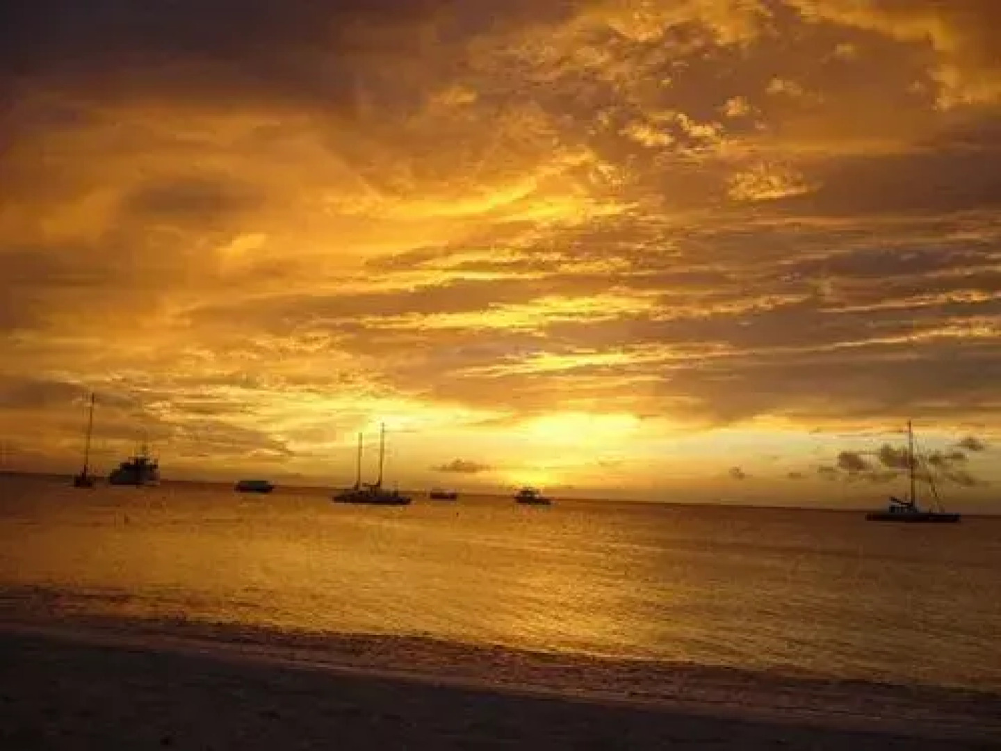 White Beach Apartments Palm Beach