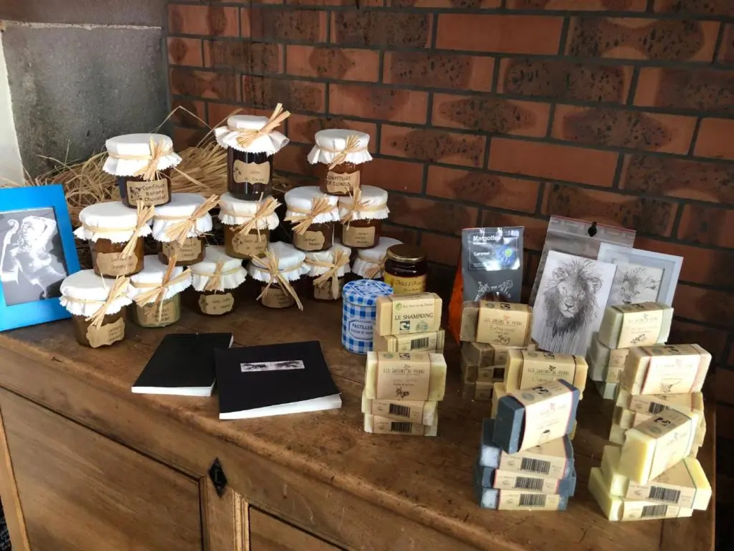 A l'Aube des Volcans