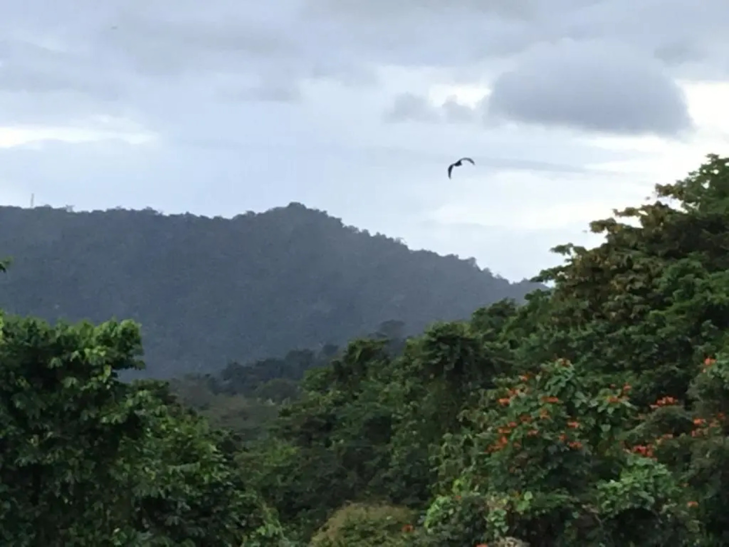 Dave Parker's Eco Lodge