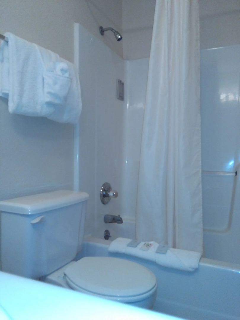 Victorian Palace Hotel