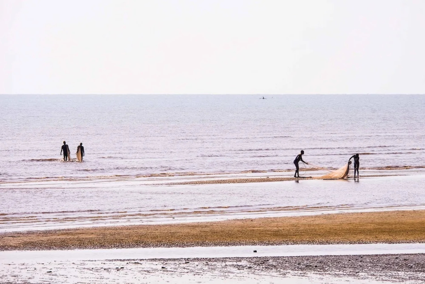 Saadani Safari Lodge - bush, river, beach