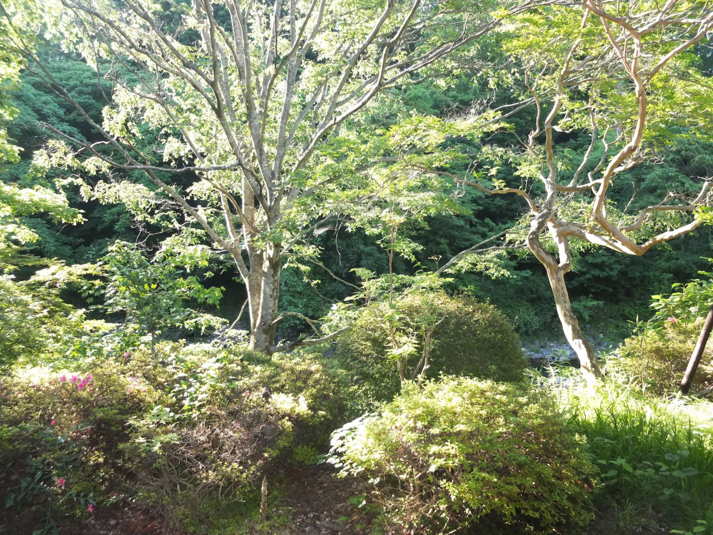 Annex Turtle HOTORI-AN