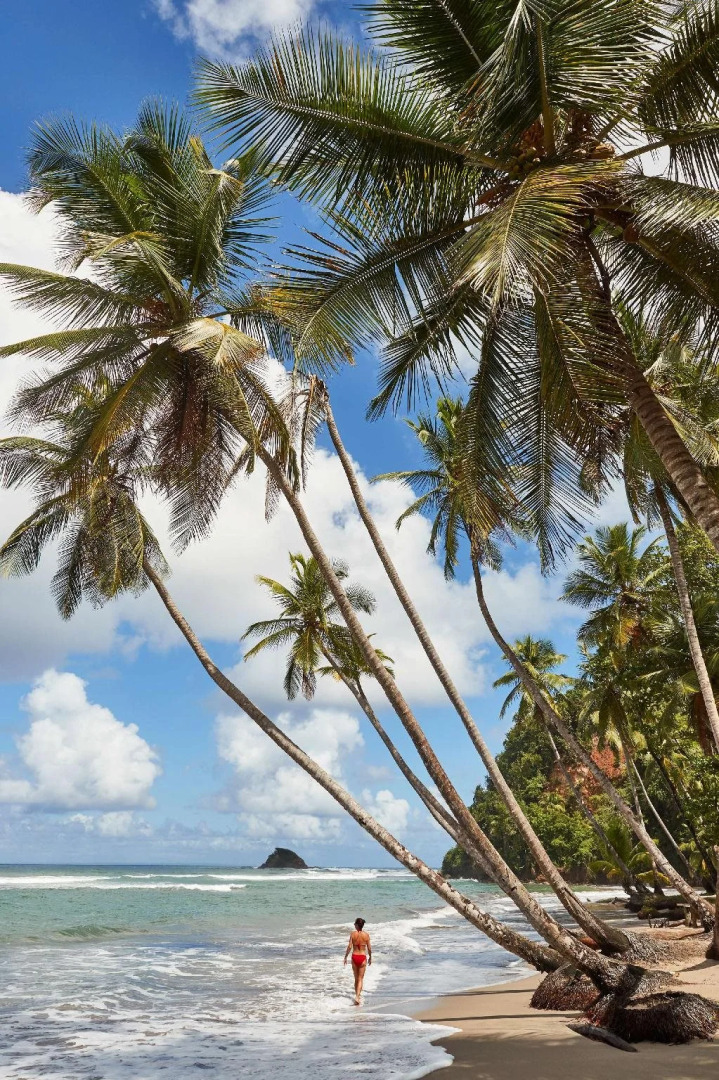 InterContinental Dominica Cabrits Resort & Spa