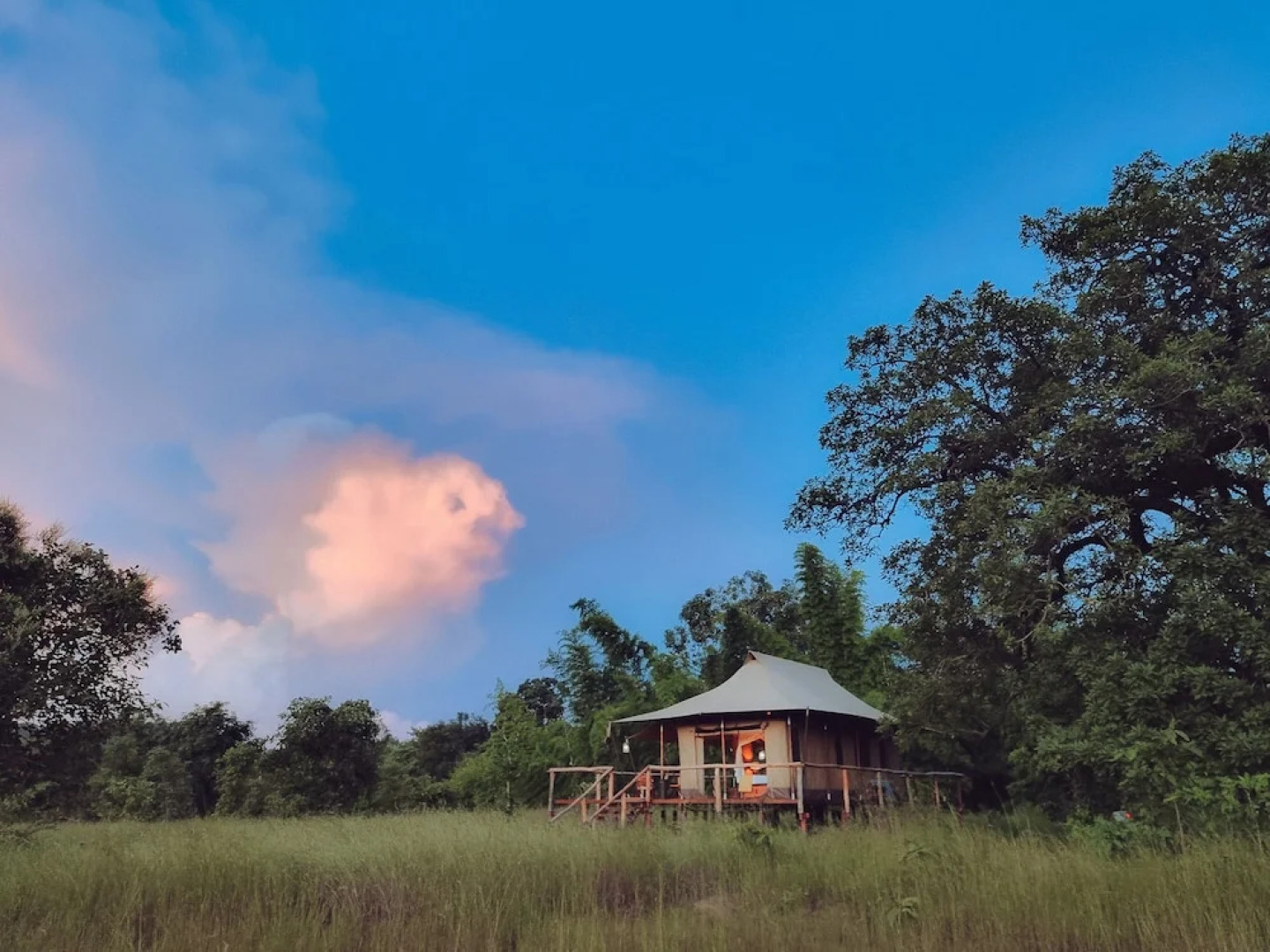 The Untamed Bandhavgarh by TUTC