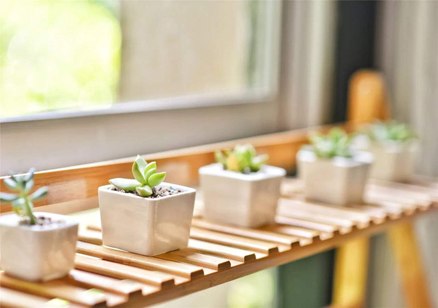 Guilin La Flowers Hostel