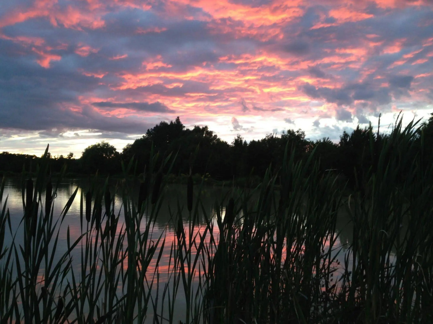Lakeside Apartments Pittlands Fishery