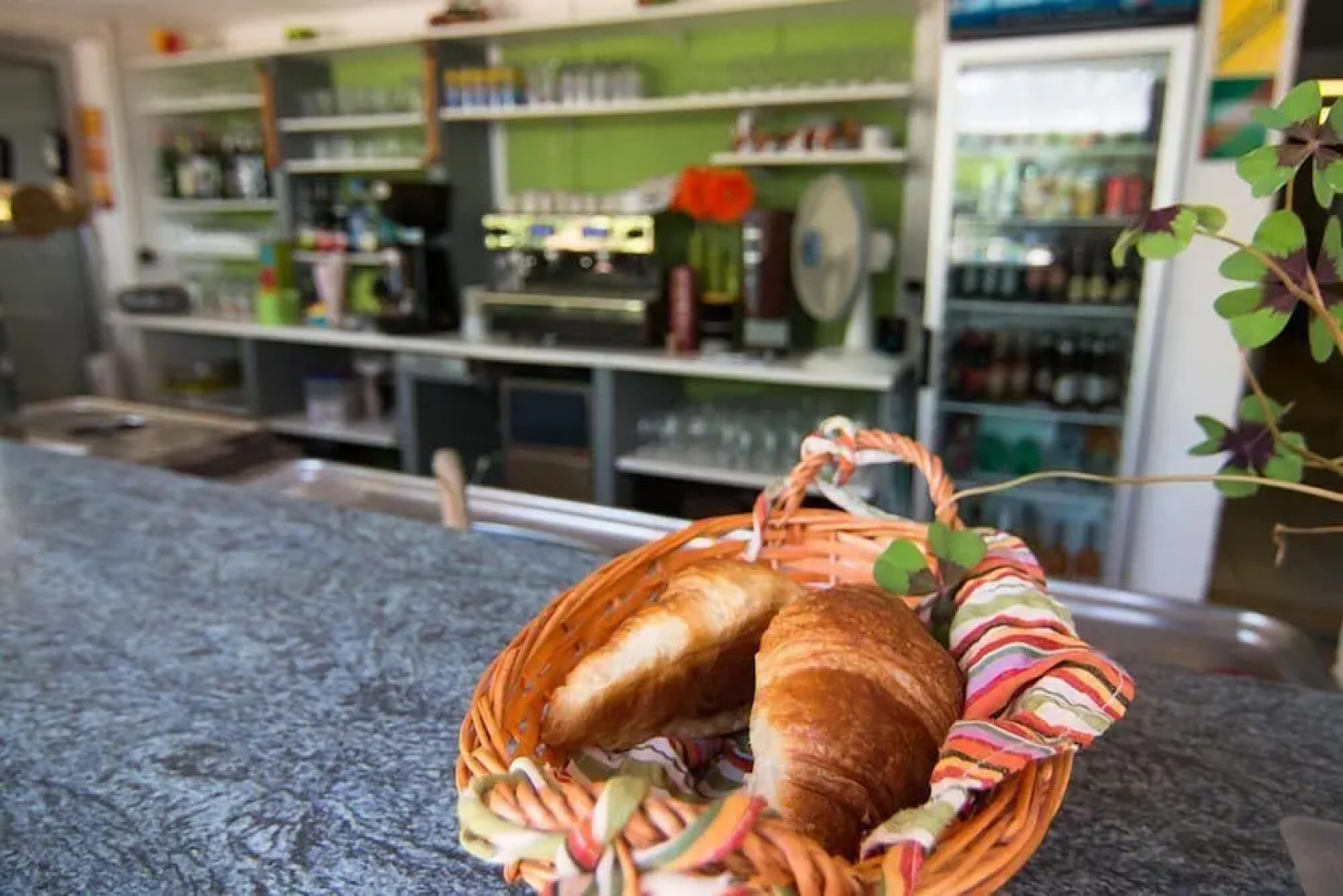 Camping Le Mas des Chenes