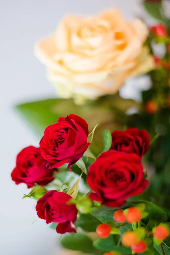 The Hideaway Experience