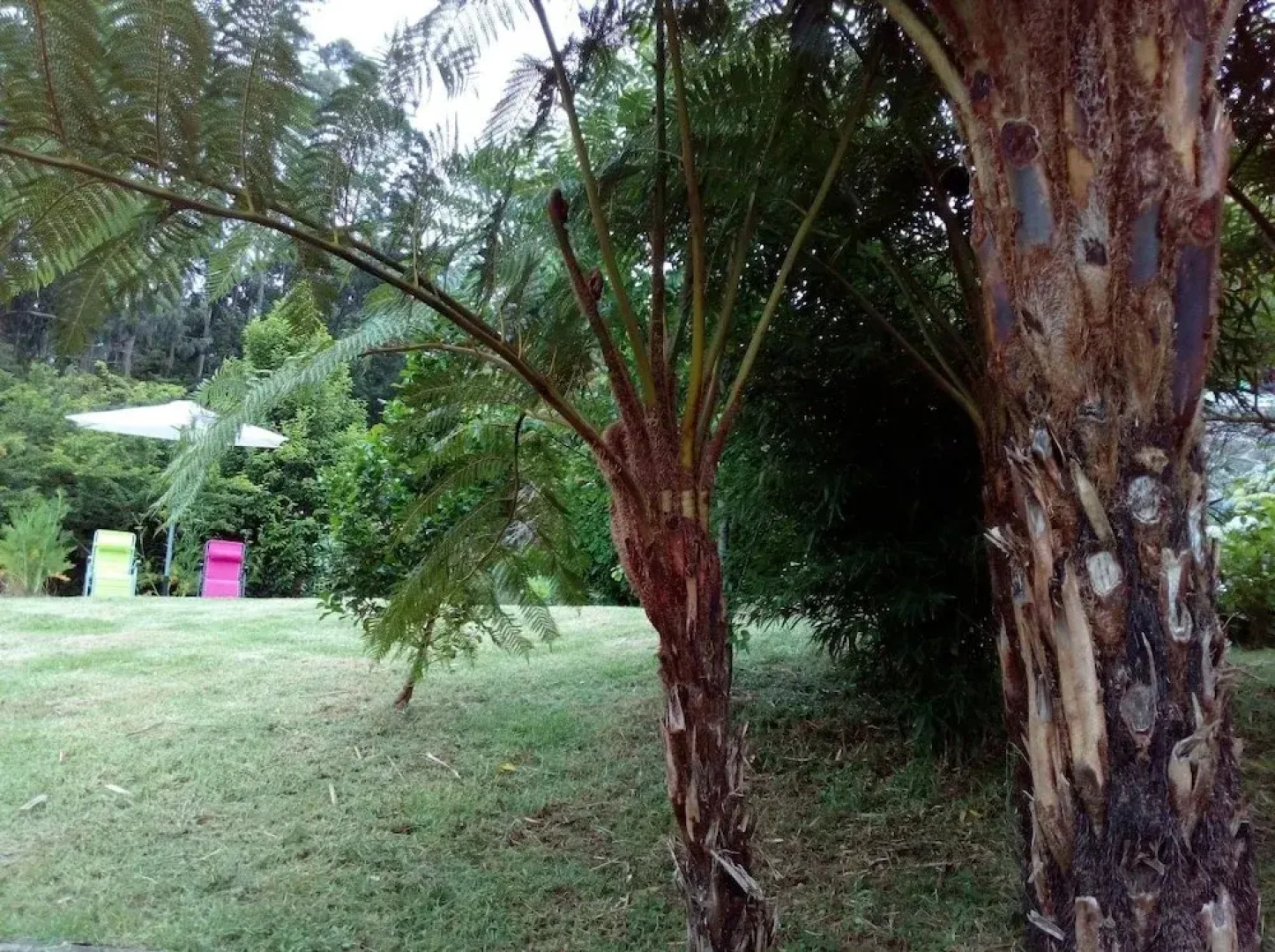 Quinta do Lombo - Country Hostel