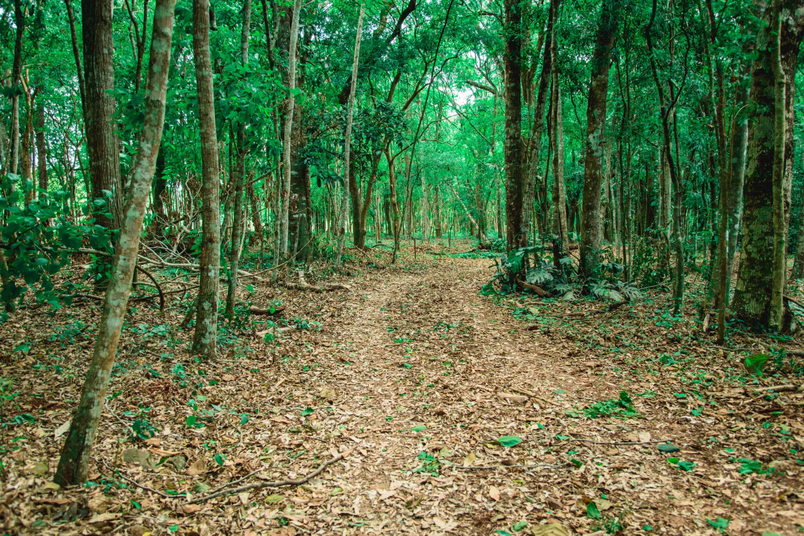 Canzi Cataratas Hotel