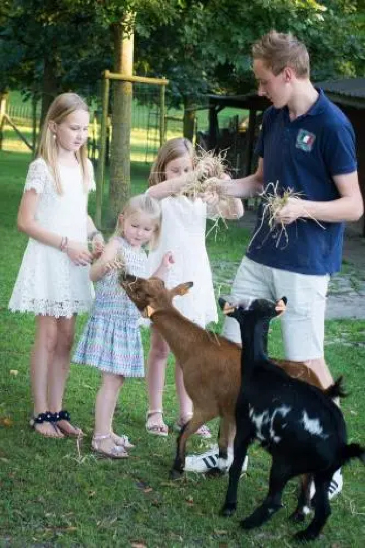 Vakantiehuis Biesonder