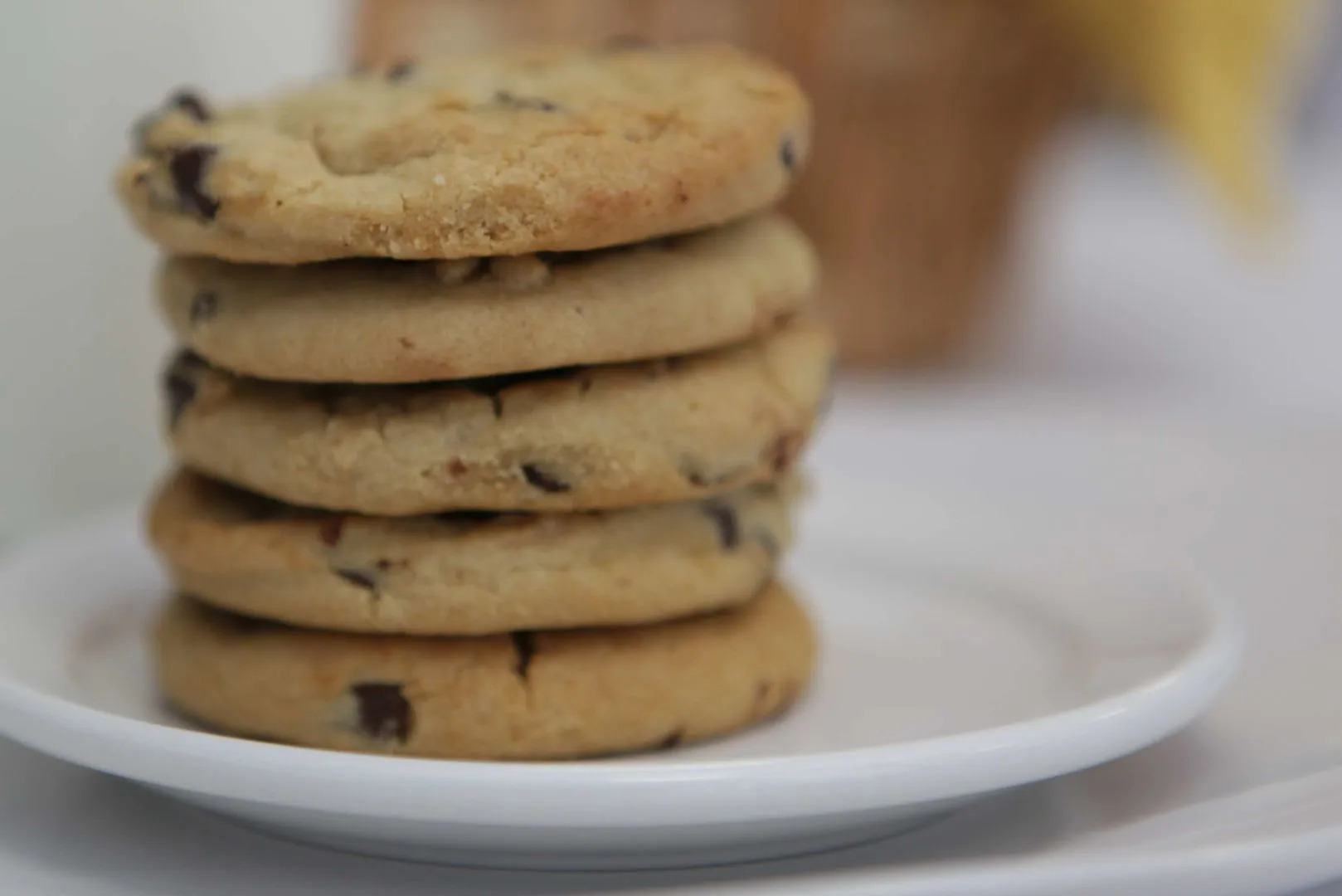 Silver Surf Gulf Beach Resort