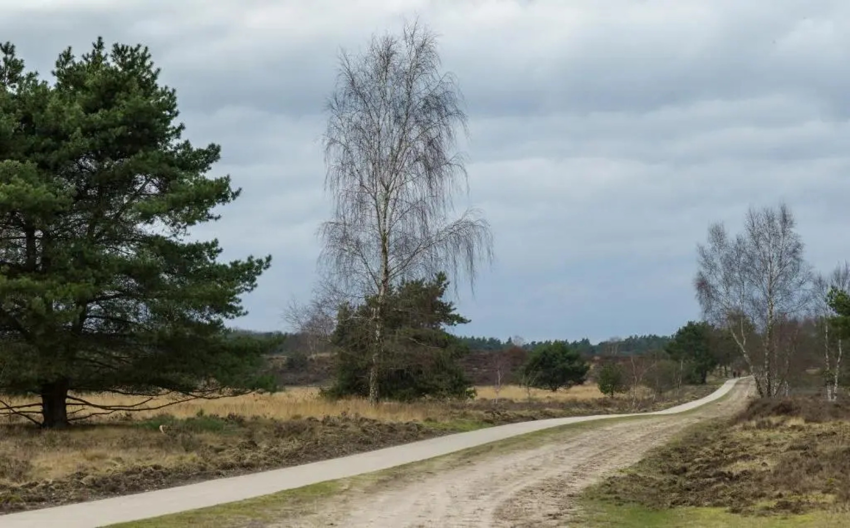 Wonderful place on a quiet spot in the middle of the Netherlands