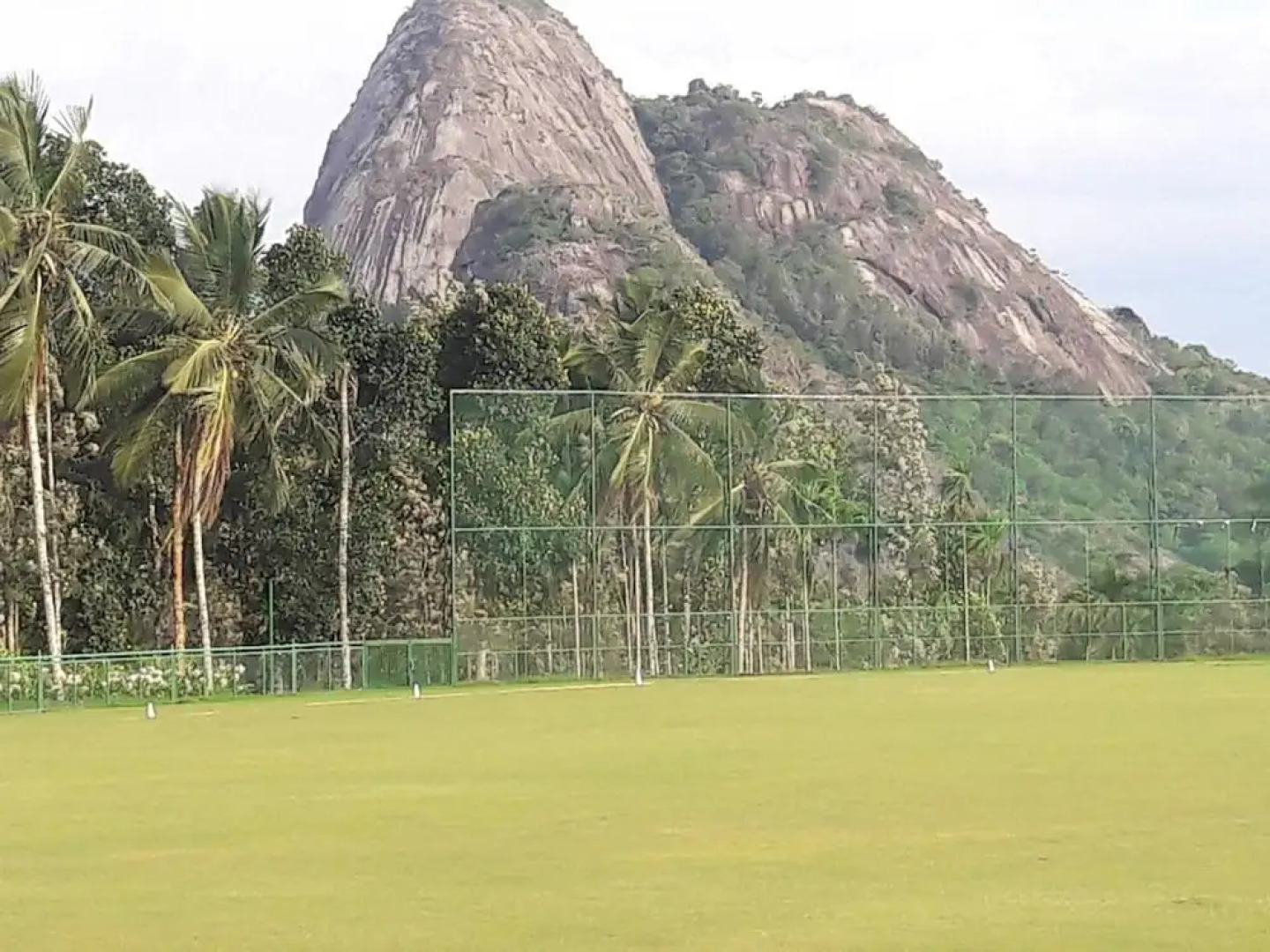 Room-wayanad Stay the Pepper Suite