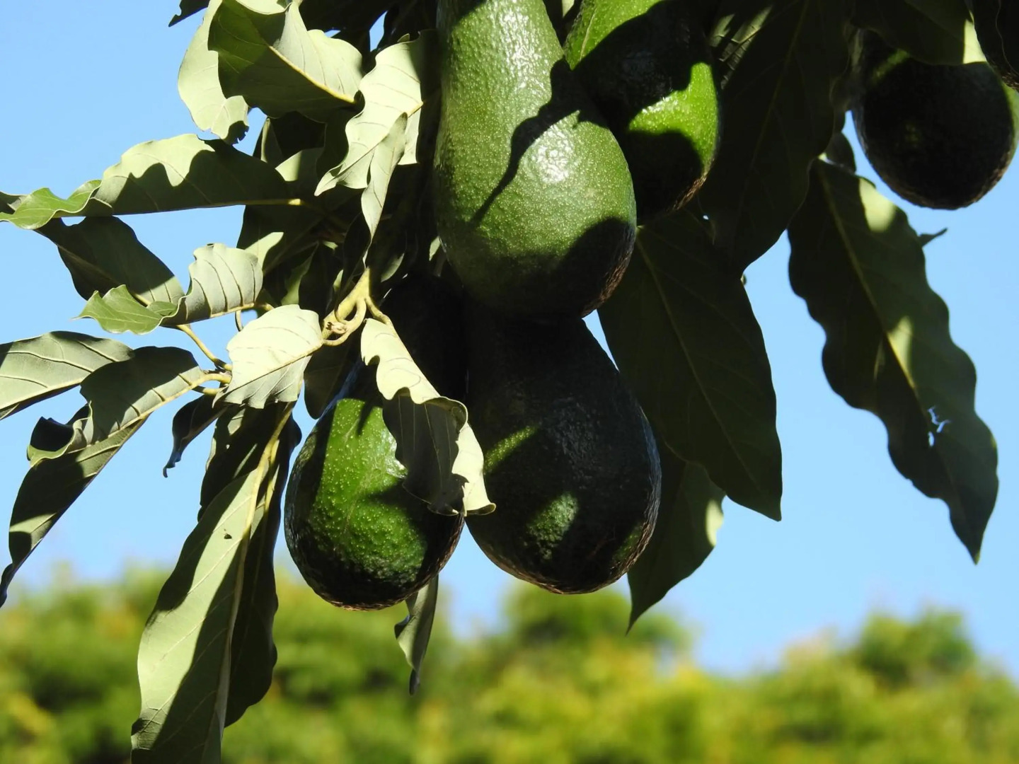Pencil Creek Cottages