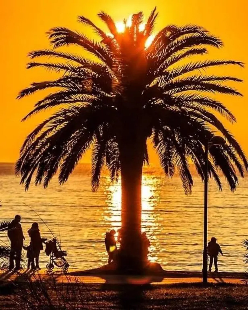 Šušanj Ilino APARTMAN