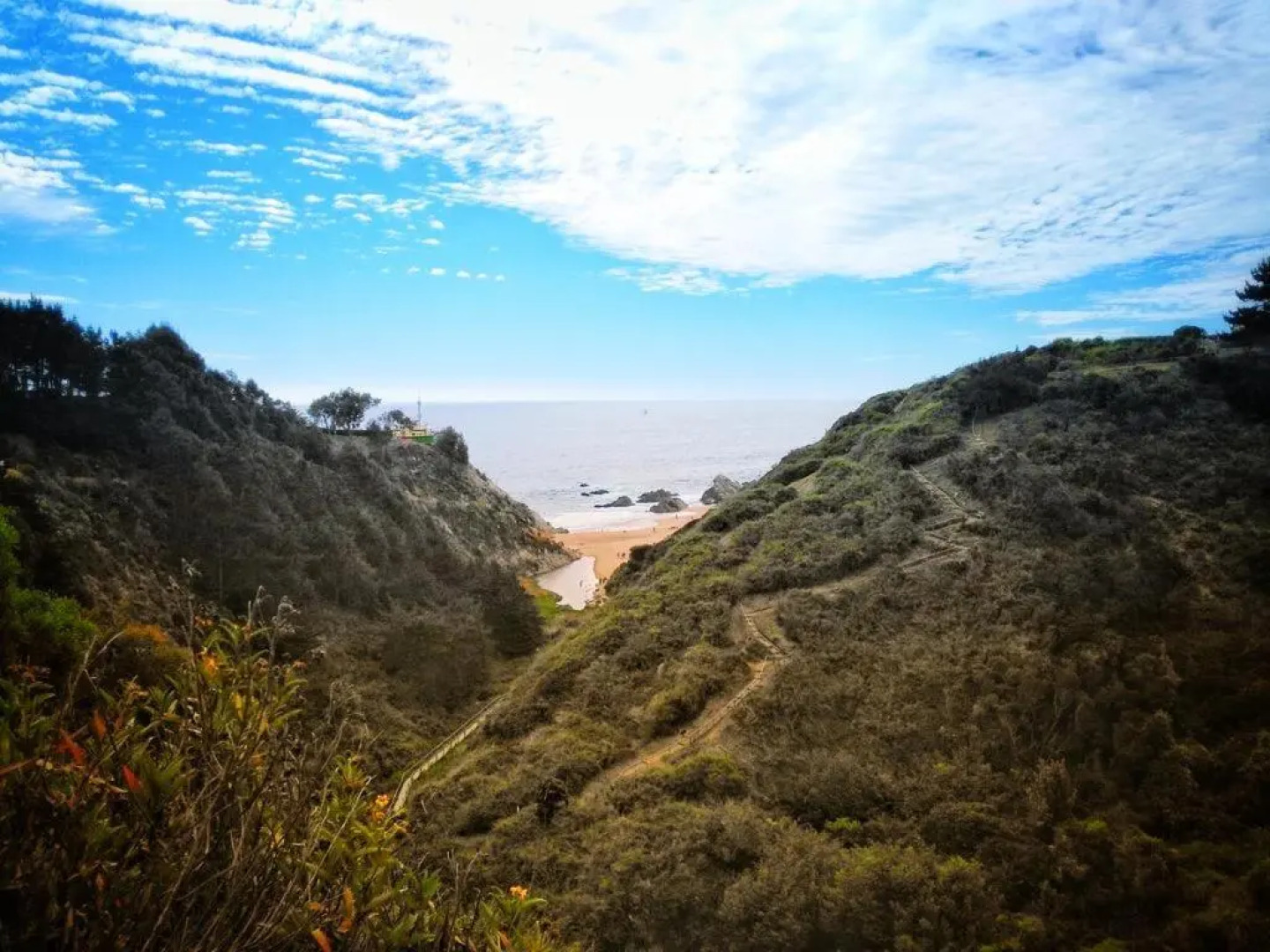 Departamento en Algarrobo Norte