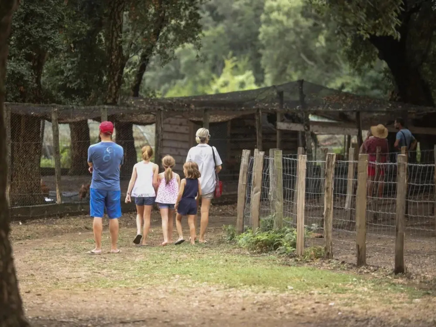 Le Rendez-vous de l'Été