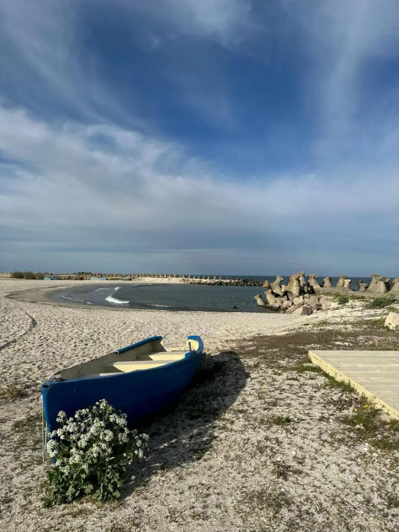 Casa Pavel Jurilovca