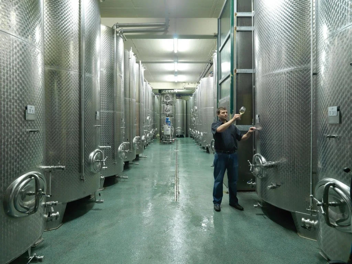 Weingut Skoff Original