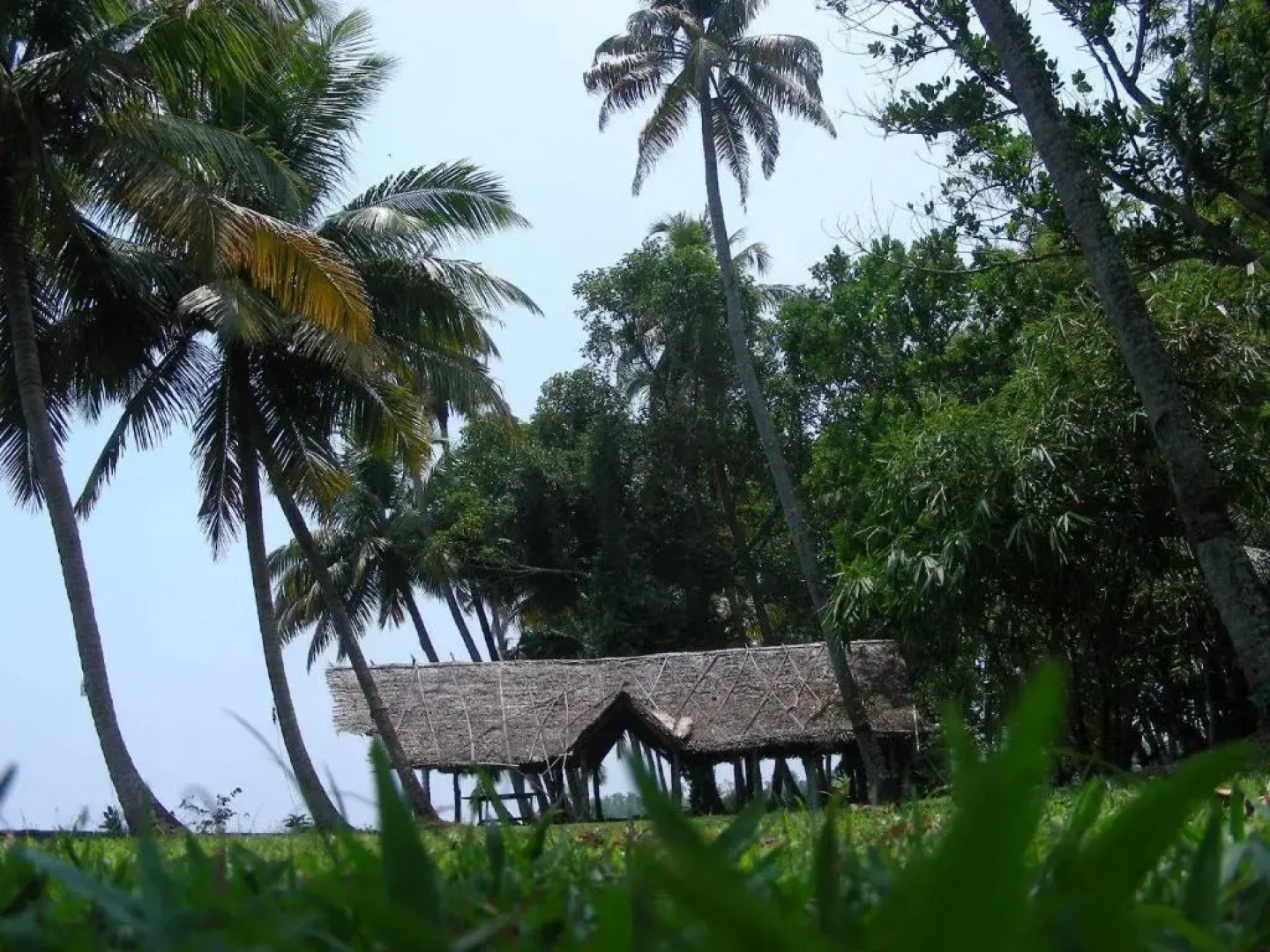 Vembanad House Boutique Back Water Homestay