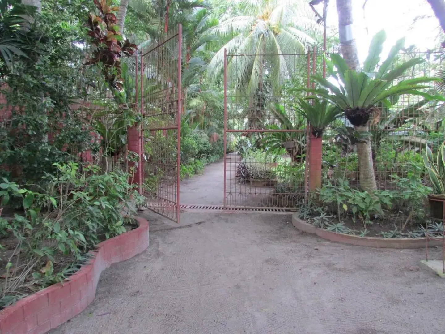 Felipa Beach Residence - Ilang Ilang