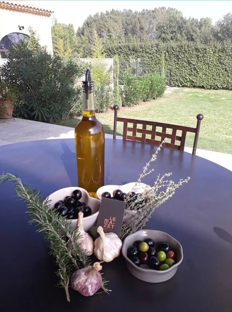 Le Mazet des chutes Gîtes